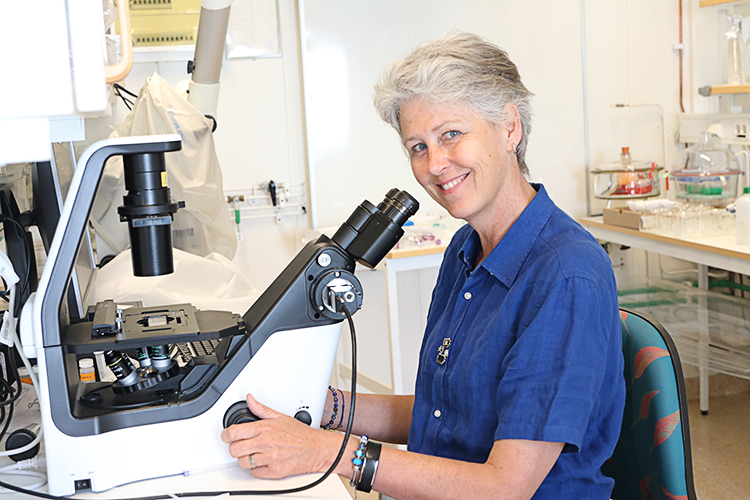 Professor Angela Wulff i labbet på Botan